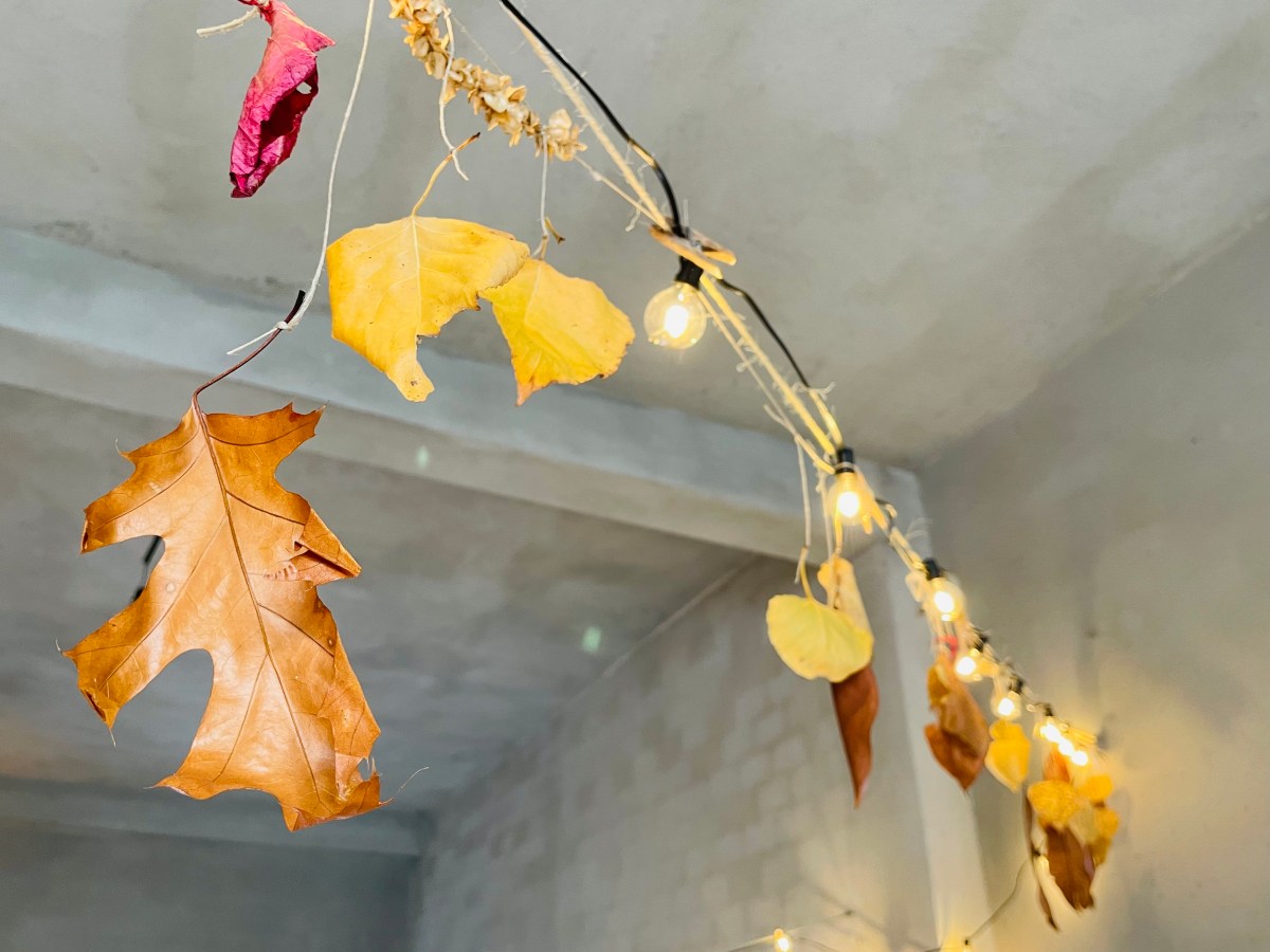 Garaje. Garaxe. Garage